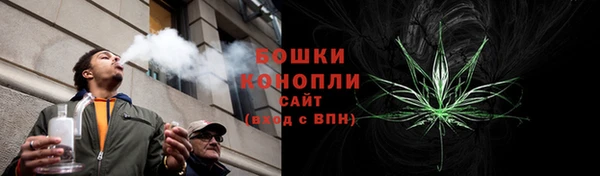 кокс Касимов