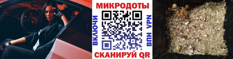 Псилоцибиновые грибы Magic Shrooms  цена   Кирсанов 